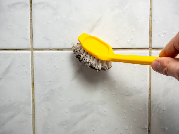 Best Commercial Mold Removal  in St Paul, MN