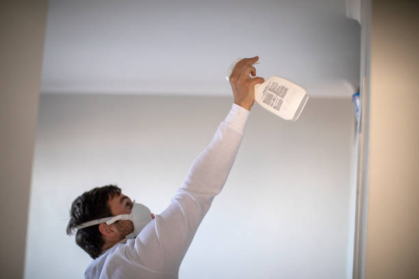 Best Mold Removal Process  in St Paul, MN