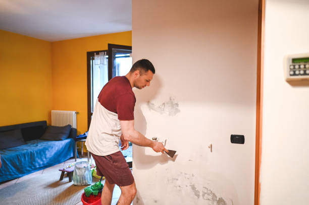 Best Home Mold Removal  in St Paul, MN